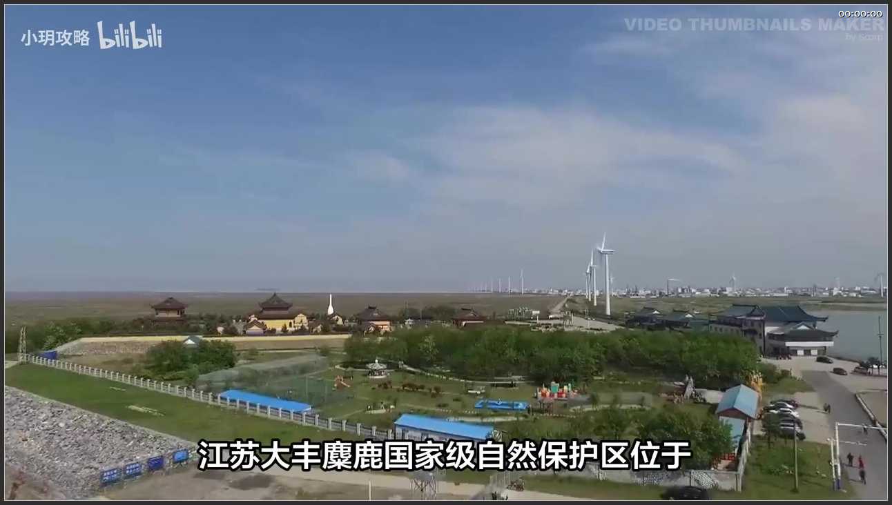 082 江苏 大丰中华康鹿园景区