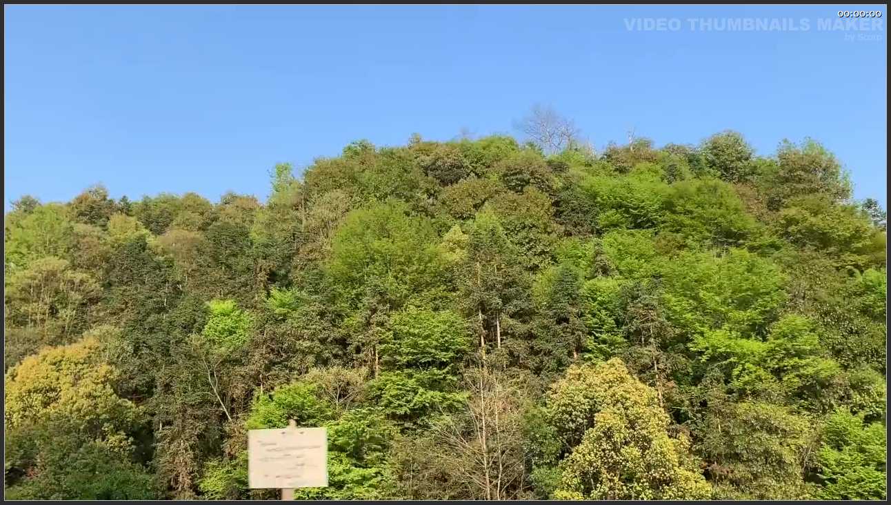 132 江西 上饶市三清山旅游景区