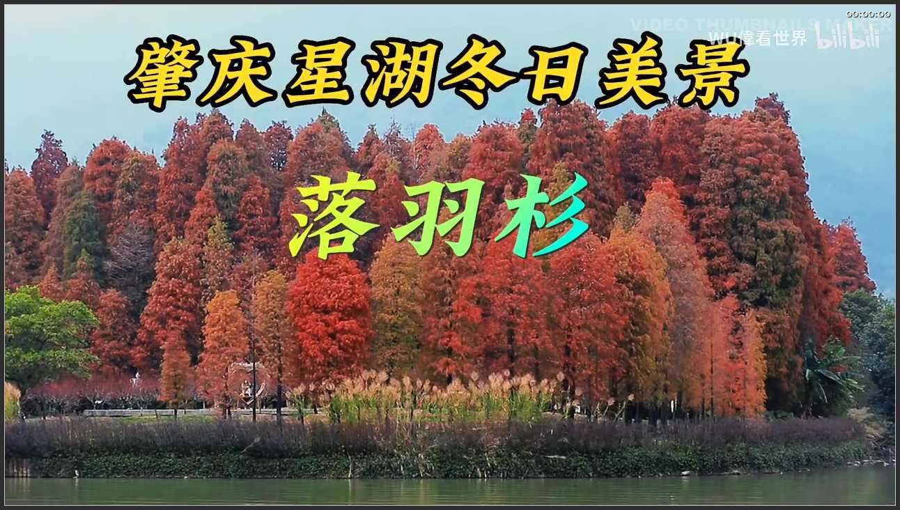 208 广东 肇庆市星湖旅游景区