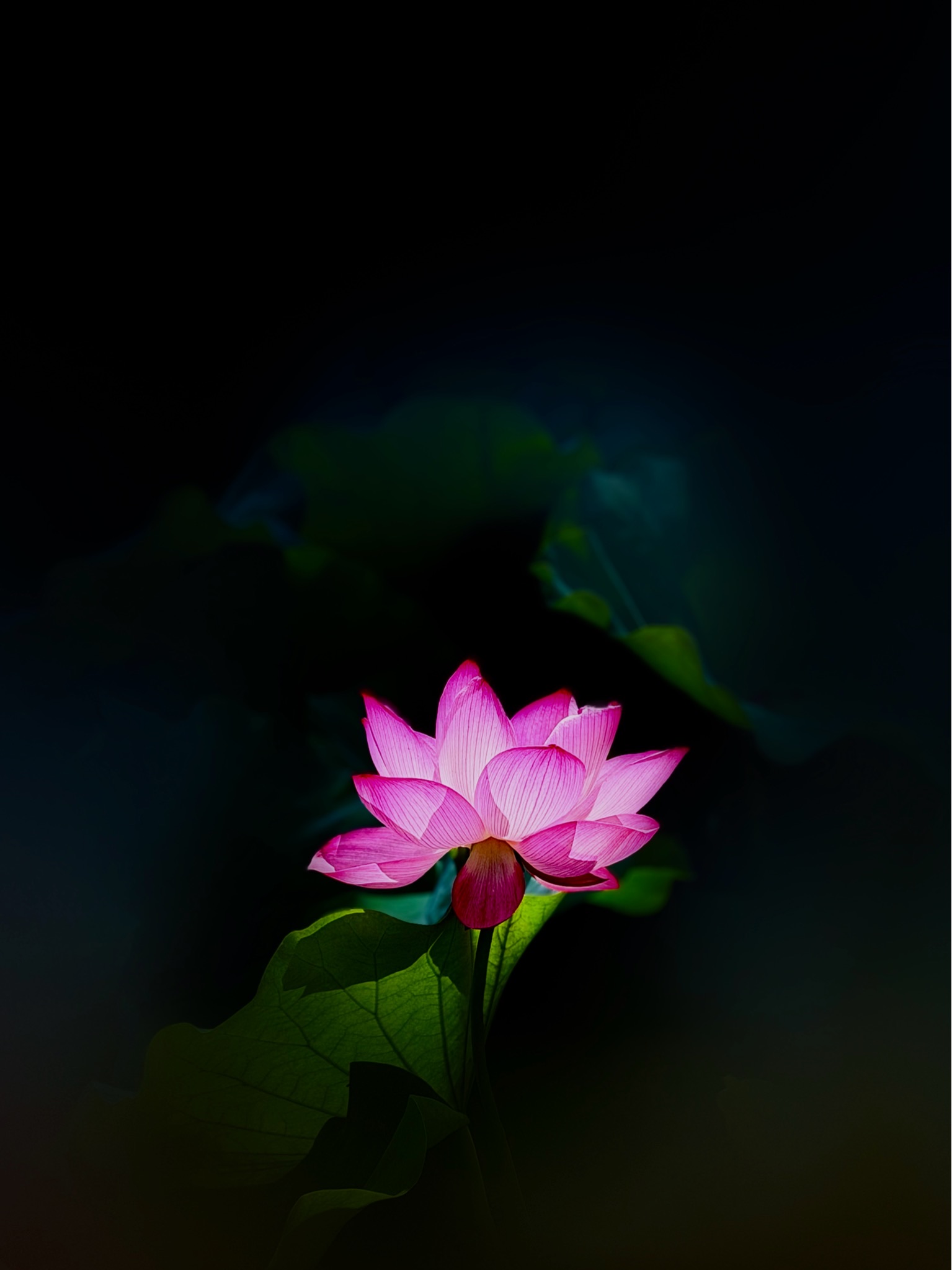 I009