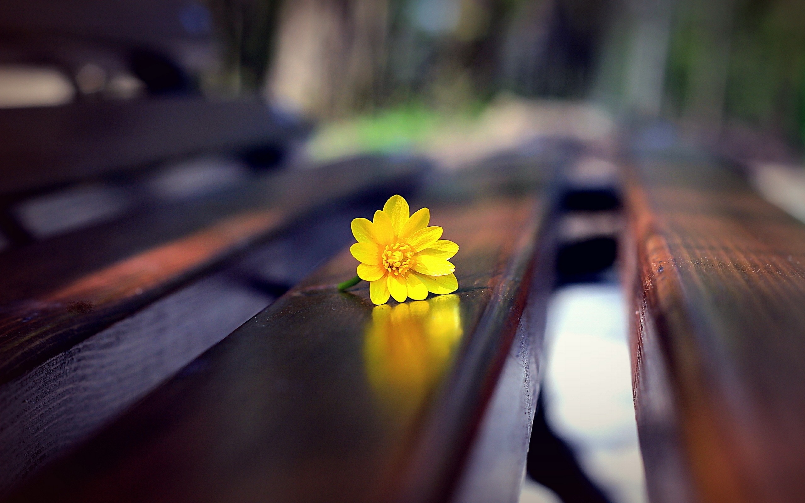 Biying 2560x1440 0013
