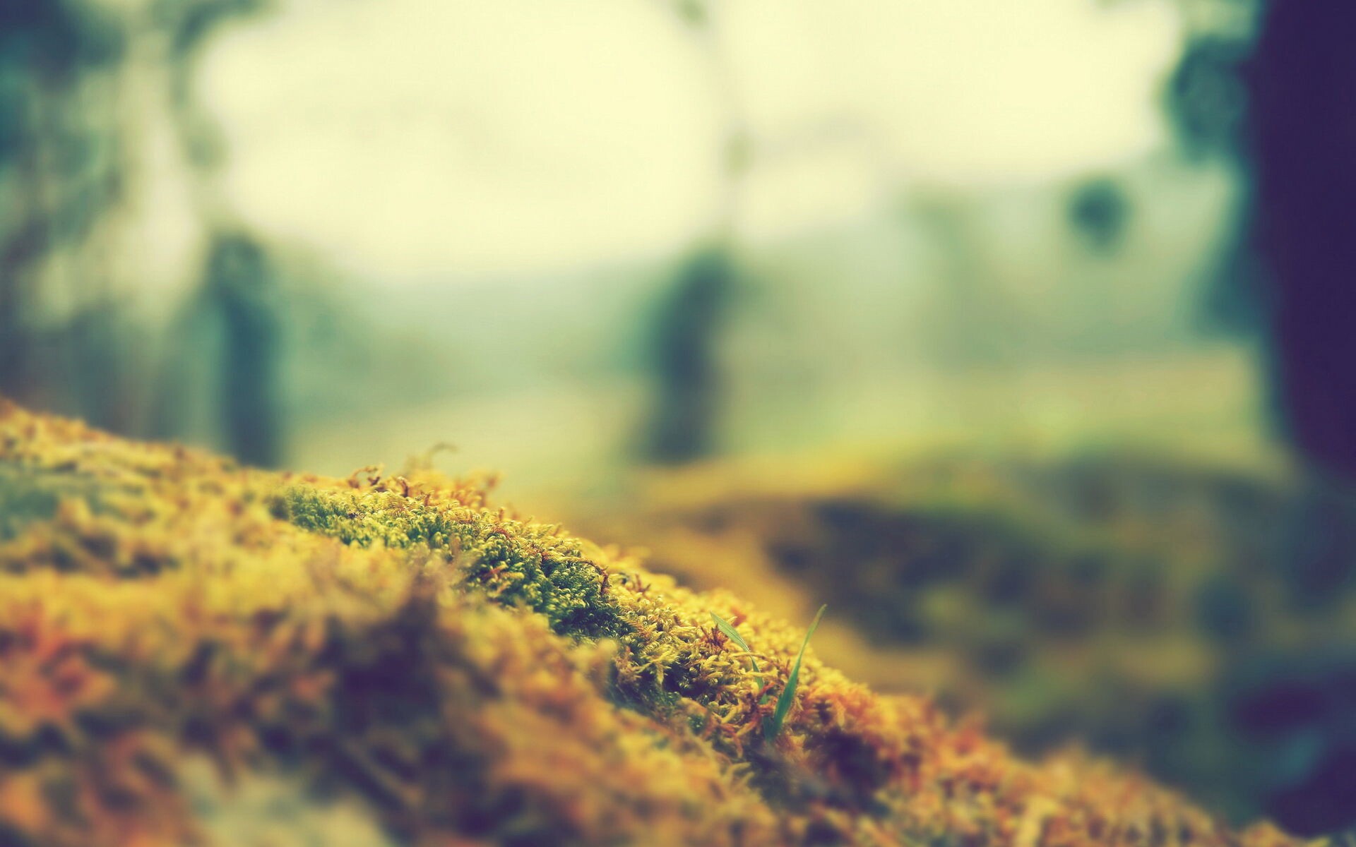 Iphoneboxbg1