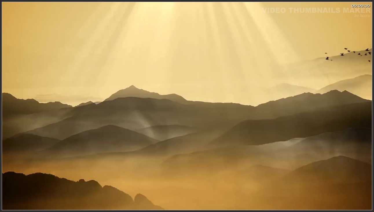 028 山西 临汾洪洞大槐树寻根祭祖园景区