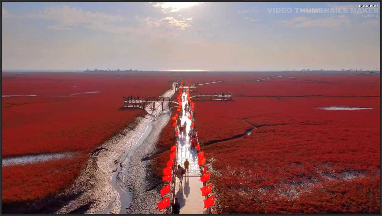 043 辽宁 盘锦红海滩