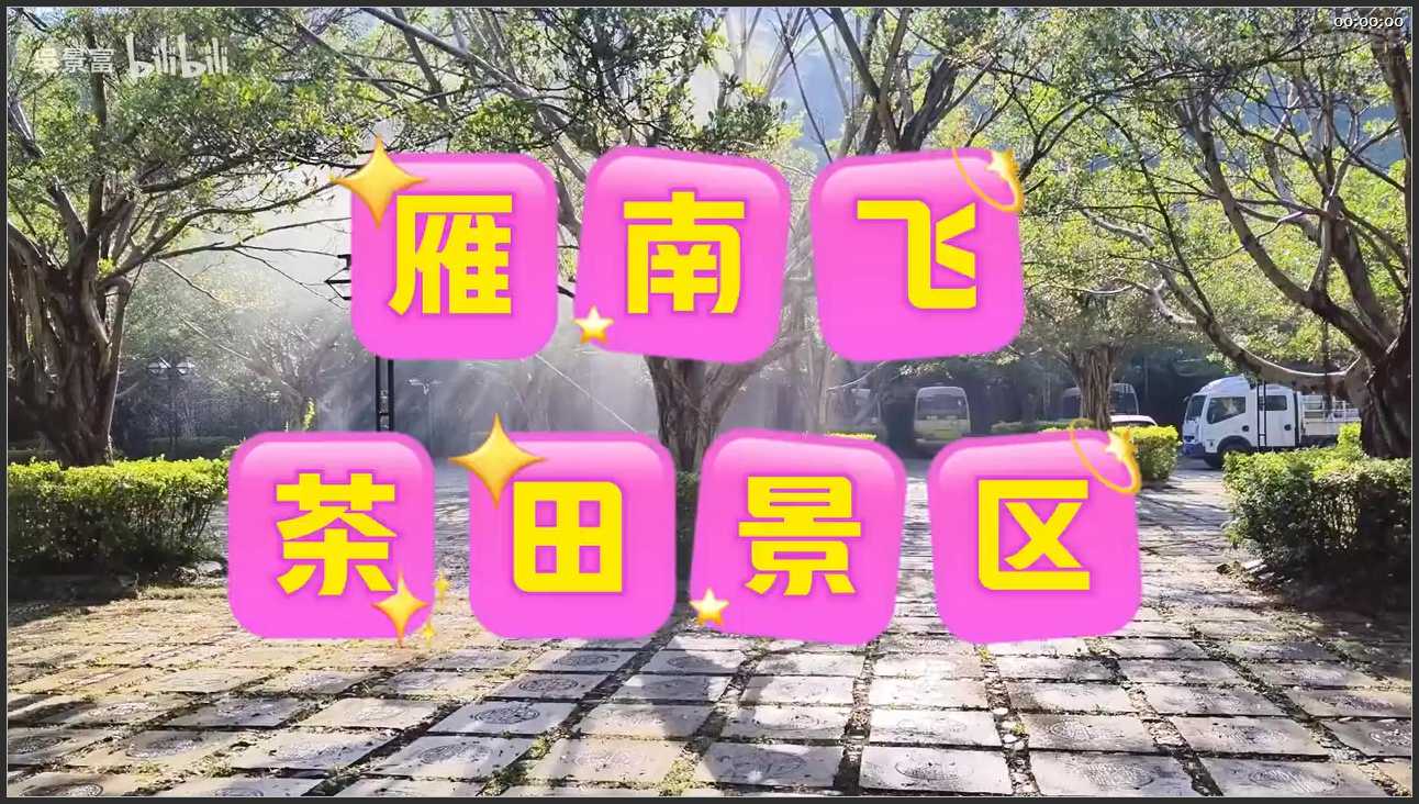 202 广东 梅州雁南飞茶田景区