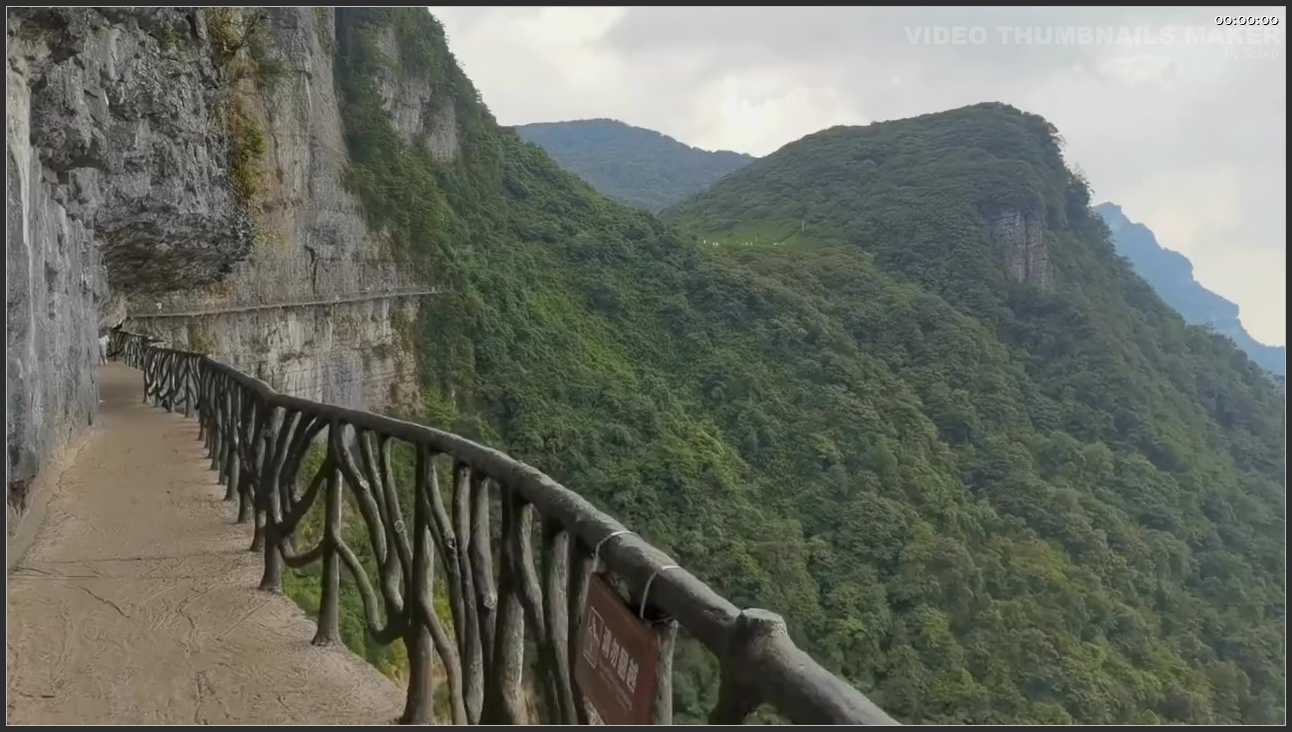 232 重庆 金佛山