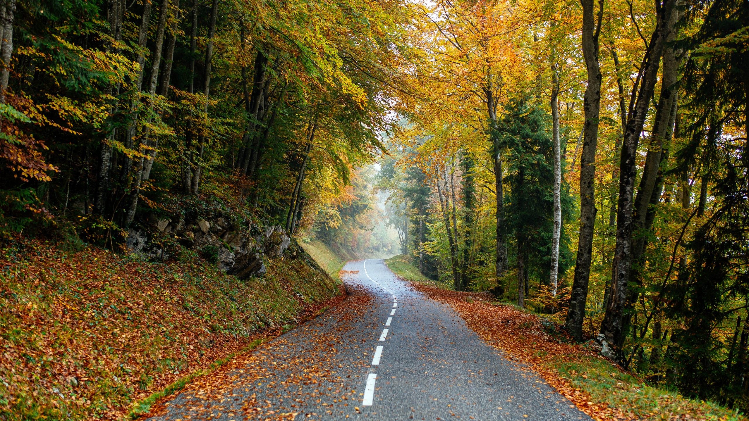 Biying 2560x1440 0002